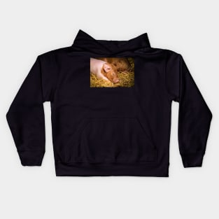 Milk Coma Piglet Kids Hoodie